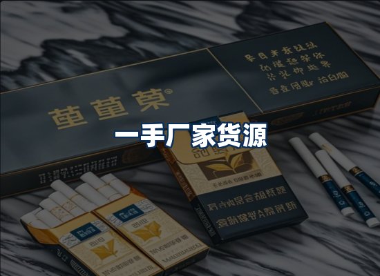专业团队办公环境
